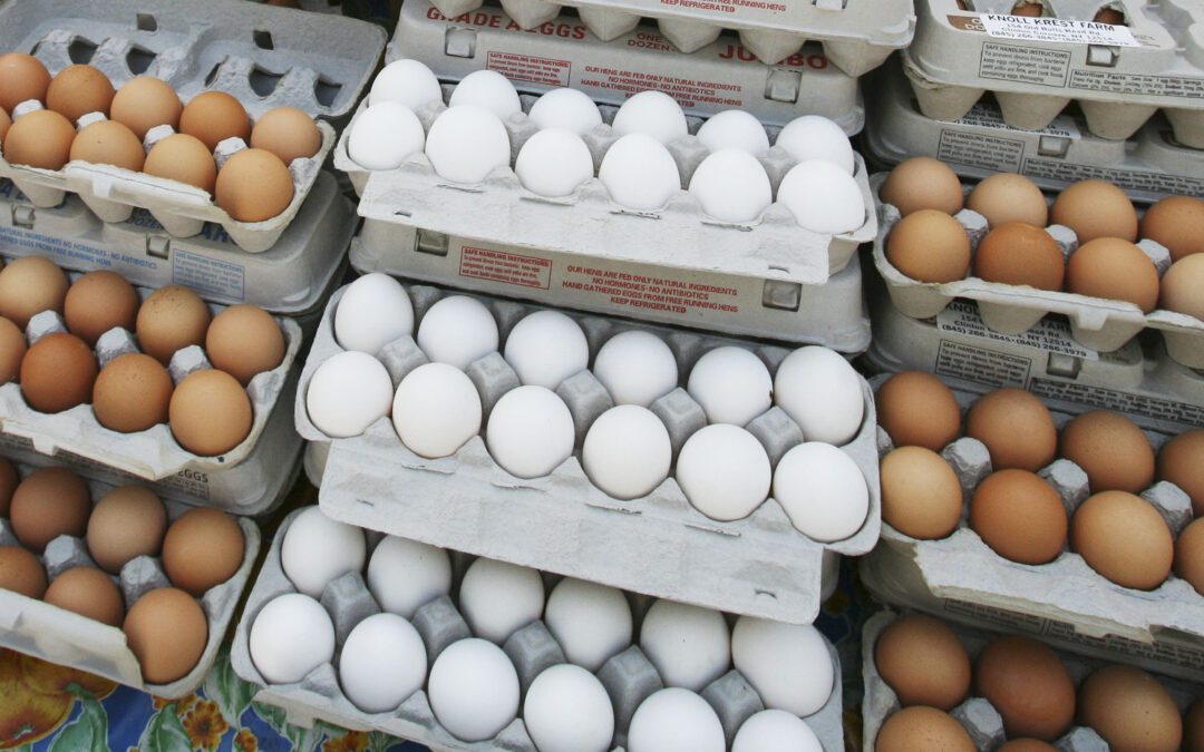 Egg-Ceptional Prices Leave Shoppers “Shell Shocked”